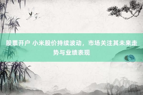 股票开户 小米股价持续波动，市场关注其未来走势与业绩表现