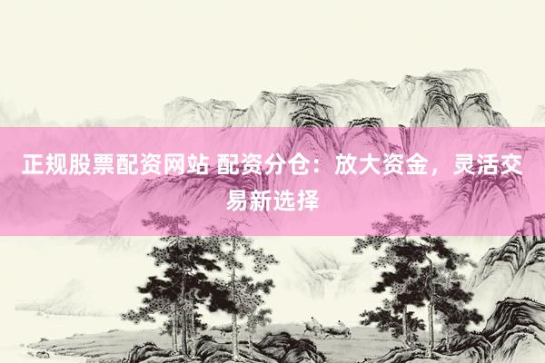 正规股票配资网站 配资分仓：放大资金，灵活交易新选择