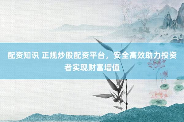 配资知识 正规炒股配资平台，安全高效助力投资者实现财富增值