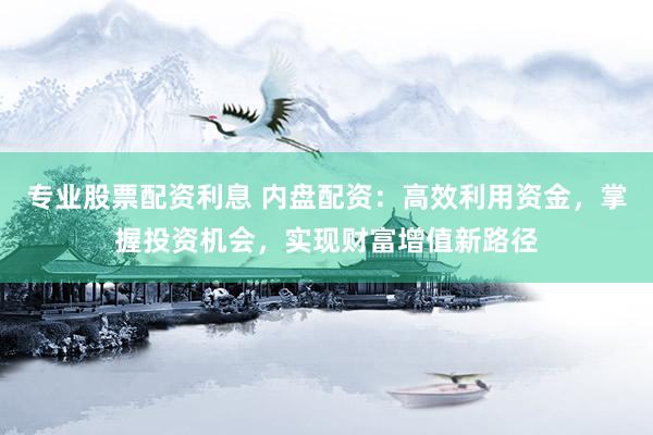 专业股票配资利息 内盘配资：高效利用资金，掌握投资机会，实现财富增值新路径