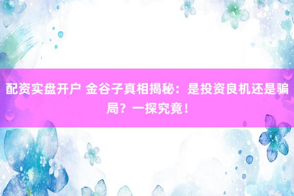 配资实盘开户 金谷子真相揭秘：是投资良机还是骗局？一探究竟！