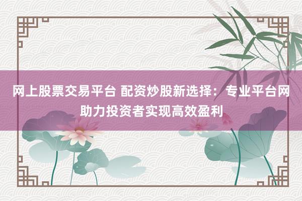 网上股票交易平台 配资炒股新选择：专业平台网助力投资者实现高效盈利