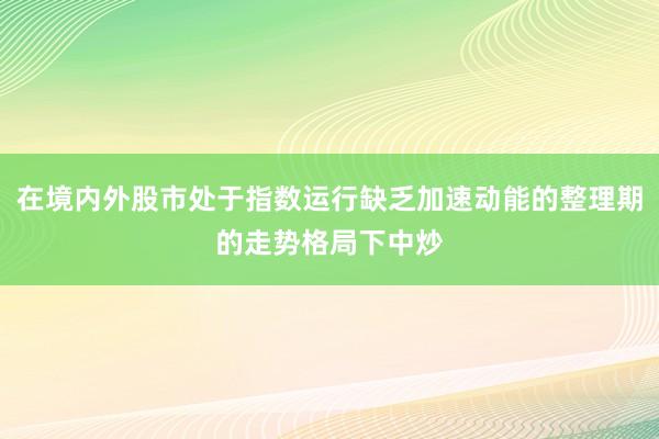 在境内外股市处于指数运行缺乏加速动能的整理期的走势格局下中炒