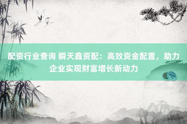 配资行业查询 瞬天鑫资配:高效资金配置,助力企业实现财富增长新动力